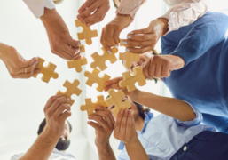 Das Bild zeigt viele Hände, die Puzzleteile in die Bildmitte halten.